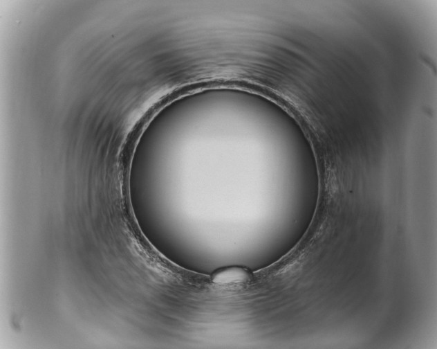 X0000101231118200807071405