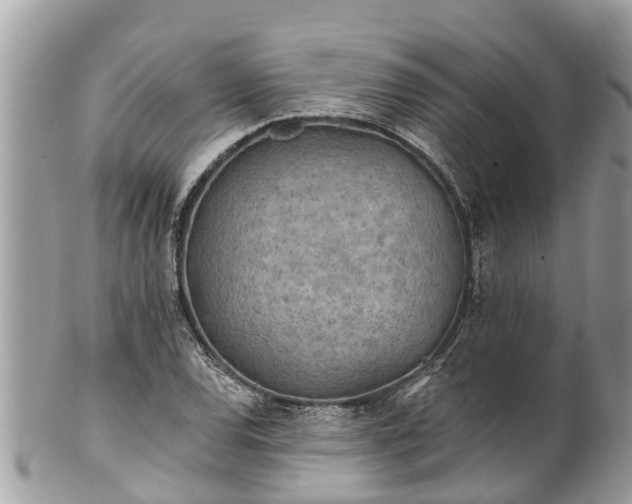 X0000101231120200807071405