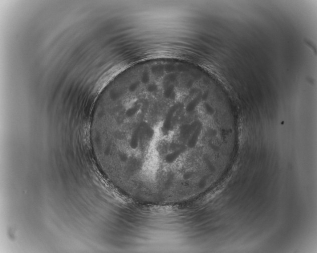 X0000101231121200807071405