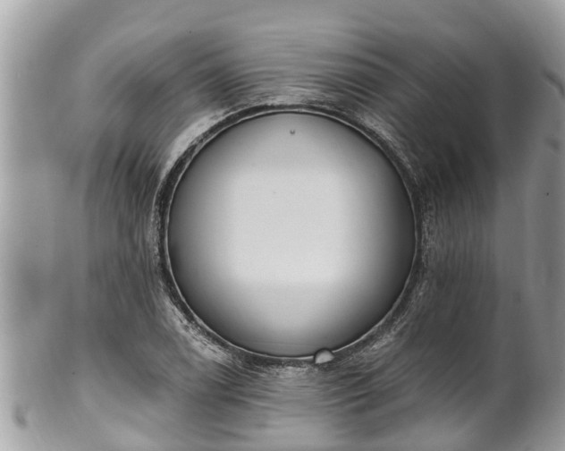 X0000101231122200807071405