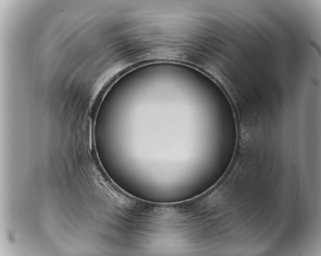 X0000101231123200807071405