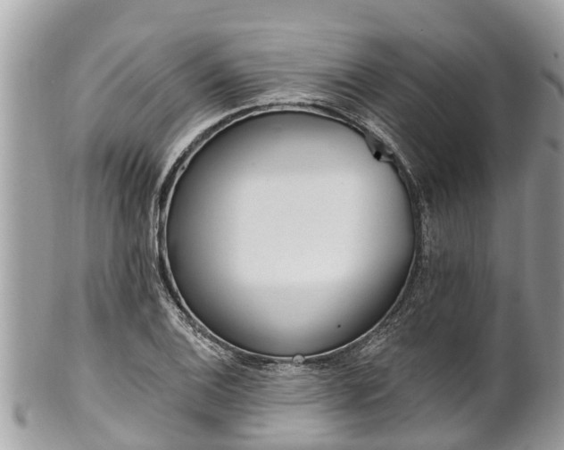 X0000101231124200807071405