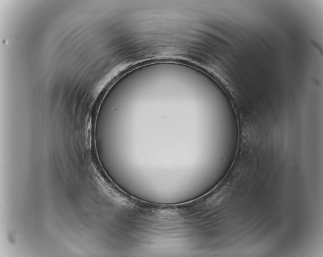 X0000101231126200807071405