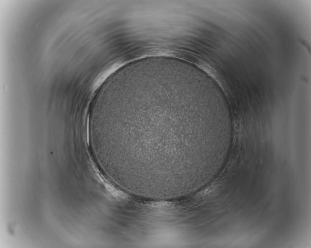 X0000101231127200807071405