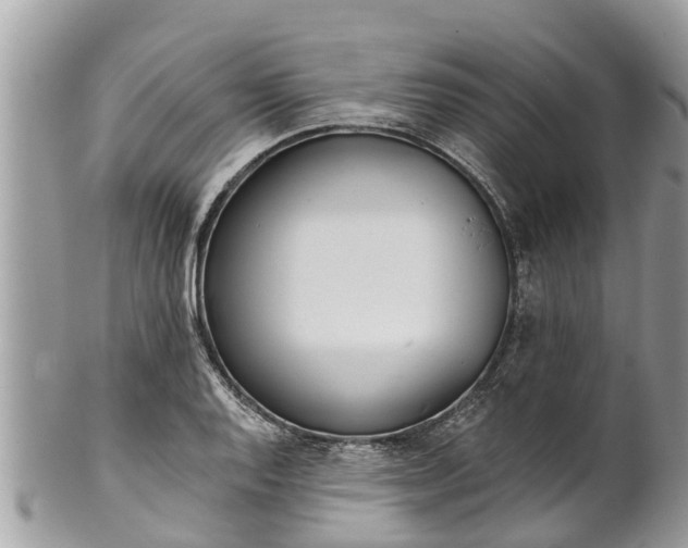 X0000101231128200807071405