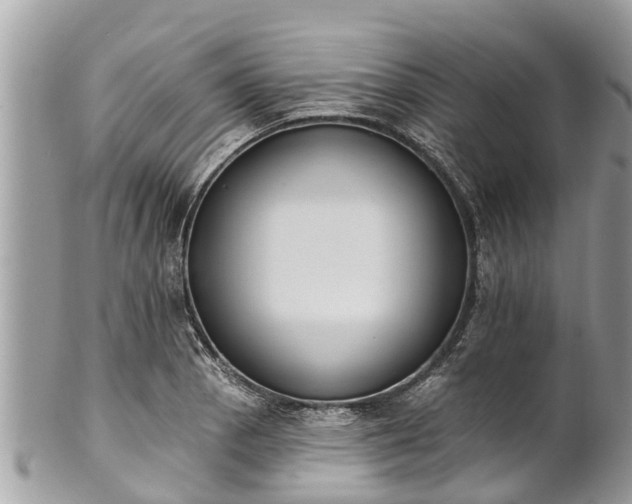 X0000101231129200807071405