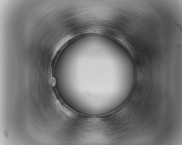 X0000101231131200807071405