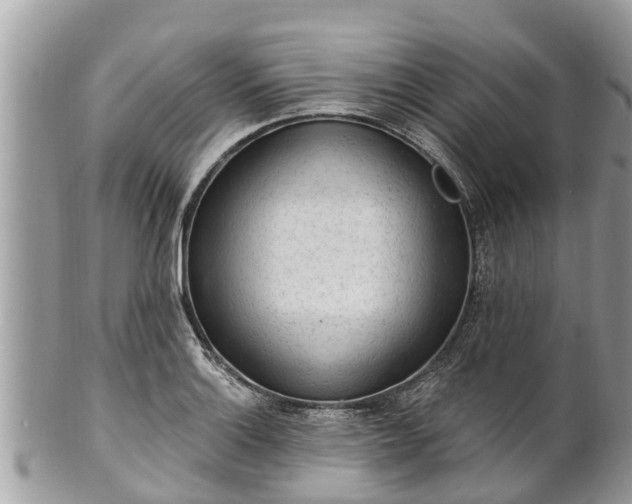 X0000101231132200807071405