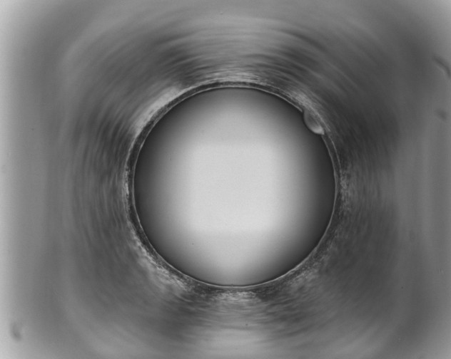 X0000101231133200807071405