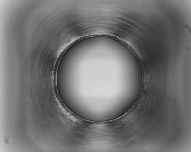 X0000101231134200807071405