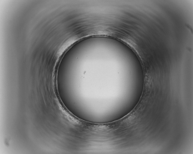 X0000101231135200807071405