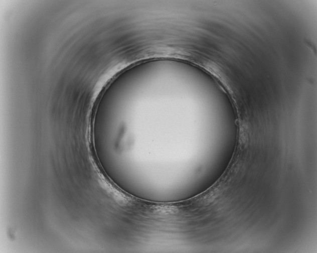 X0000101231136200807071405