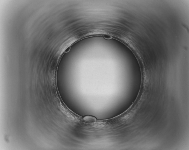 X0000101231137200807071405