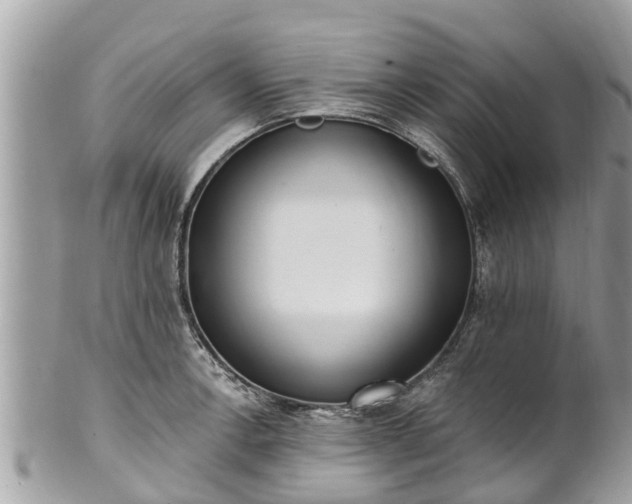 X0000101231138200807071405