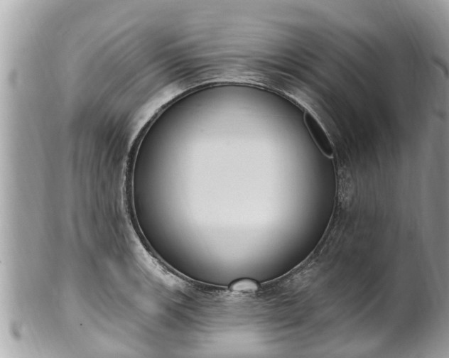 X0000101231139200807071405