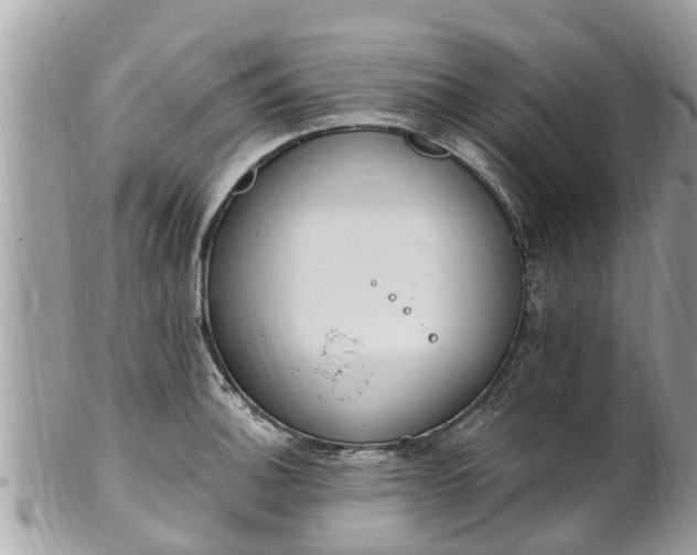 X0000101231140200807071405