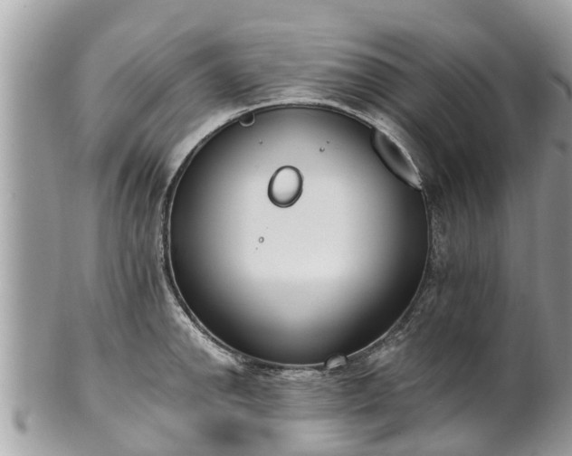 X0000101231142200807071405