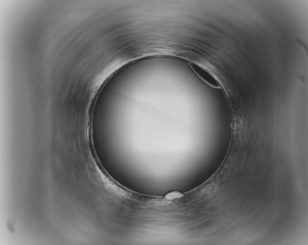 X0000101231143200807071405