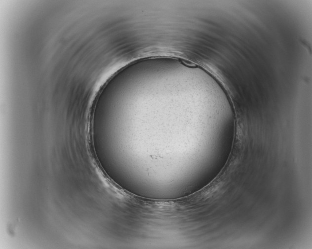 X0000101231144200807071405