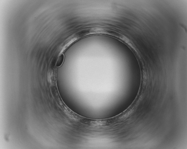 X0000101231145200807071405