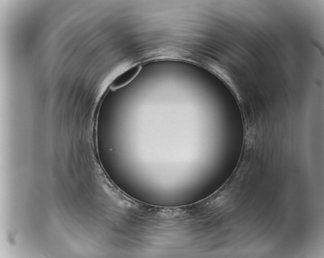 X0000101231146200807071405