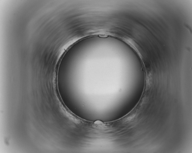 X0000101231149200807071405