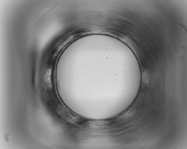 X0000101231150200807071405