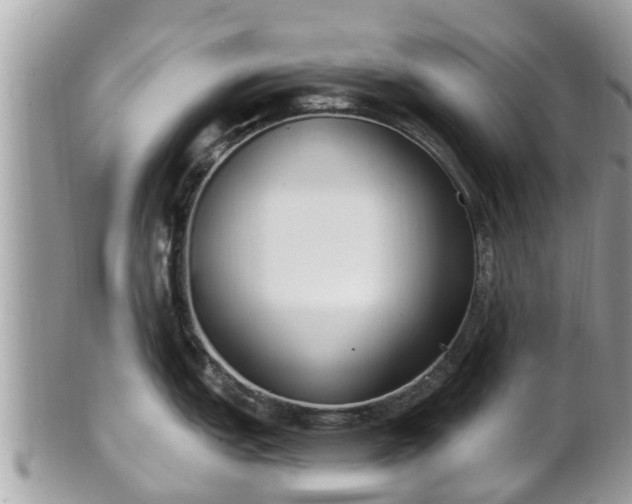 X0000101231151200807071405