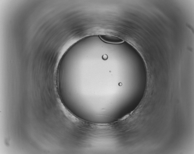 X0000101231152200807071405