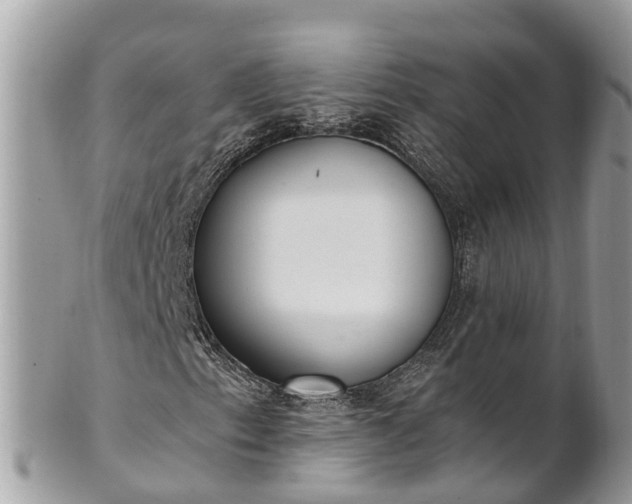 X0000101231153200807071405