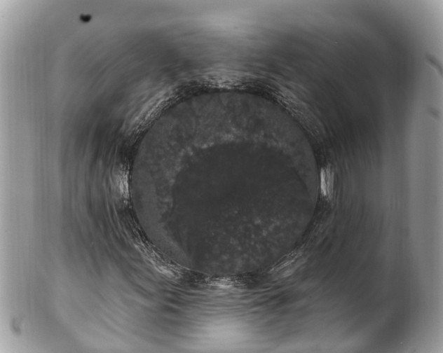 X0000101231155200807071405