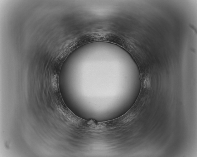 X0000101231156200807071405