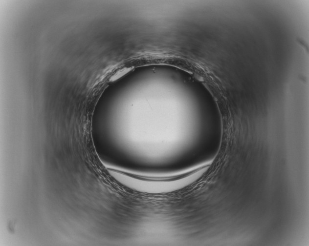 X0000101231157200807071405