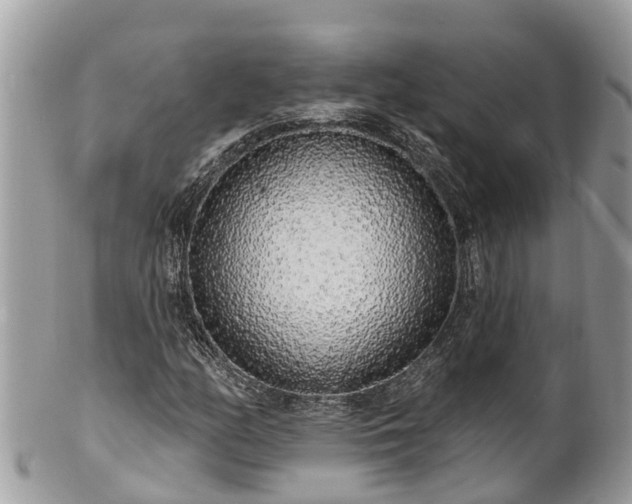 X0000101231158200807071405