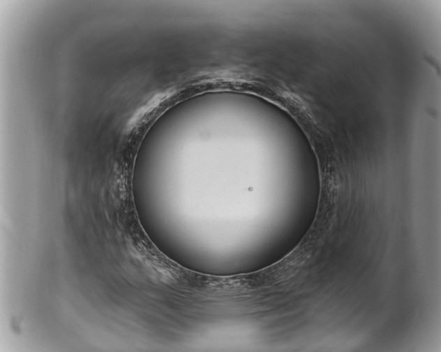 X0000101231159200807071405