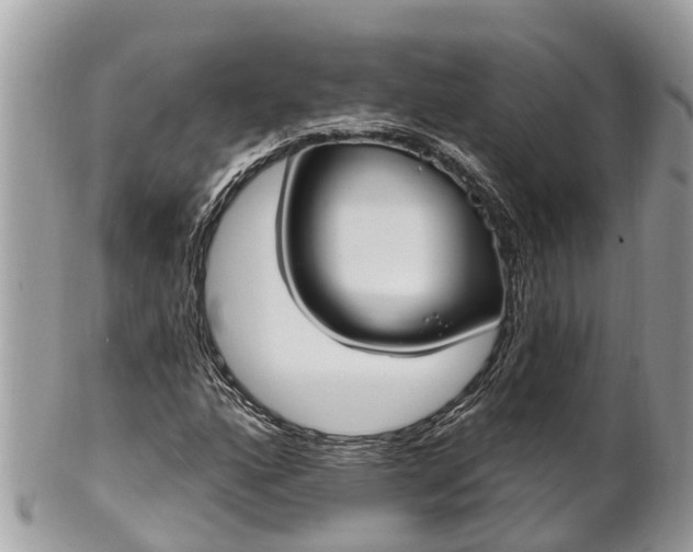 X0000101231160200807071405