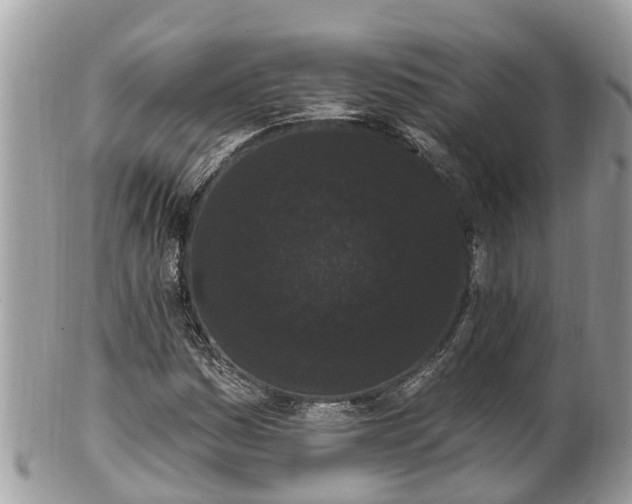 X0000101231161200807071405