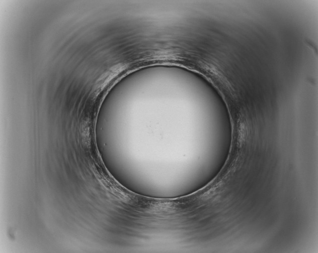 X0000101231162200807071405