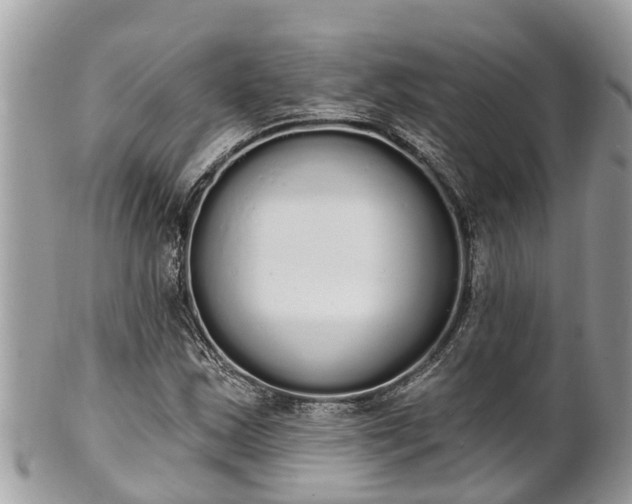 X0000101231163200807071405