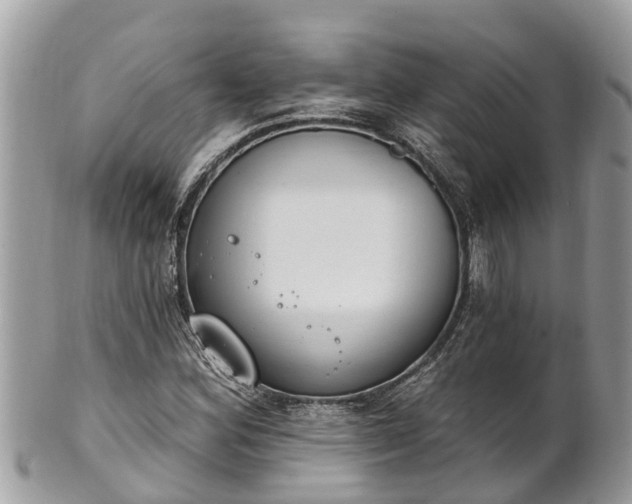 X0000101231164200807071405