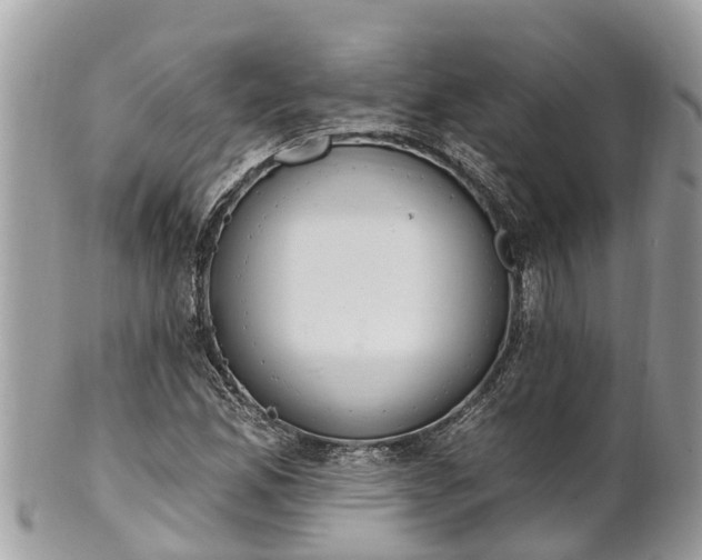 X0000101231165200807071405