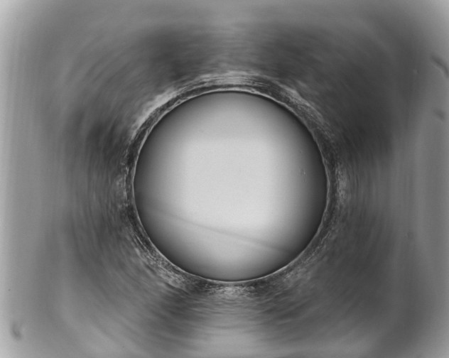 X0000101231166200807071405