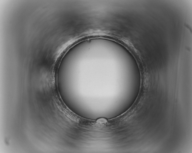 X0000101231167200807071405