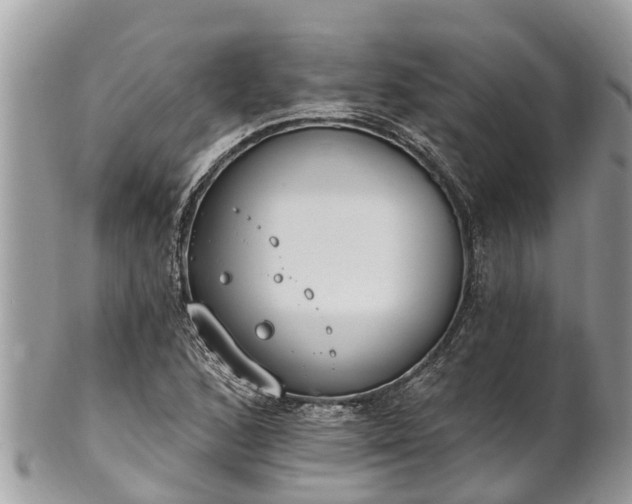 X0000101231168200807071404