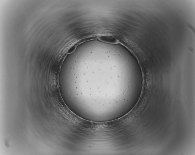 X0000101231169200807071404