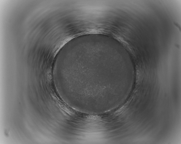 X0000101231170200807071404