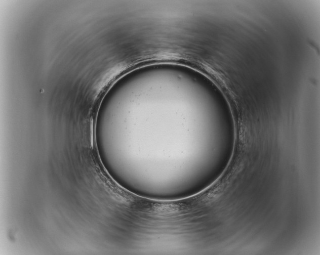 X0000101231171200807071404
