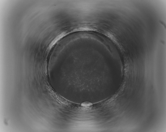 X0000101231173200807071404