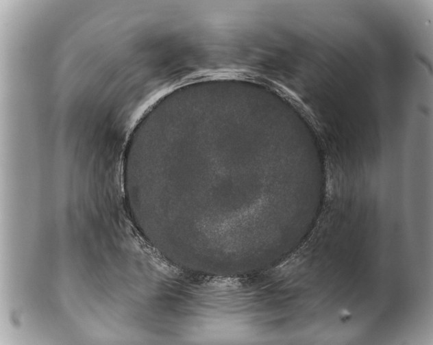 X0000101231174200807071404