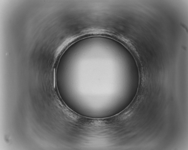 X0000101231175200807071404